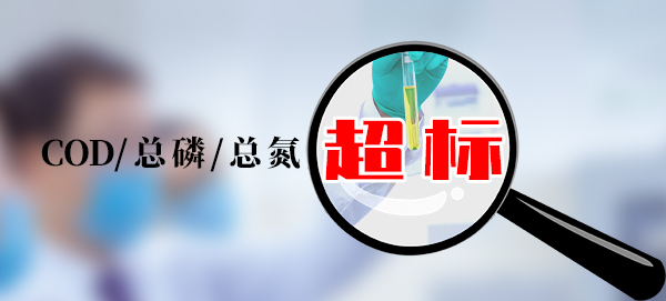 【超標(biāo)】屠宰場廢水COD總氮和總磷超標(biāo)？用這3種方法解決！