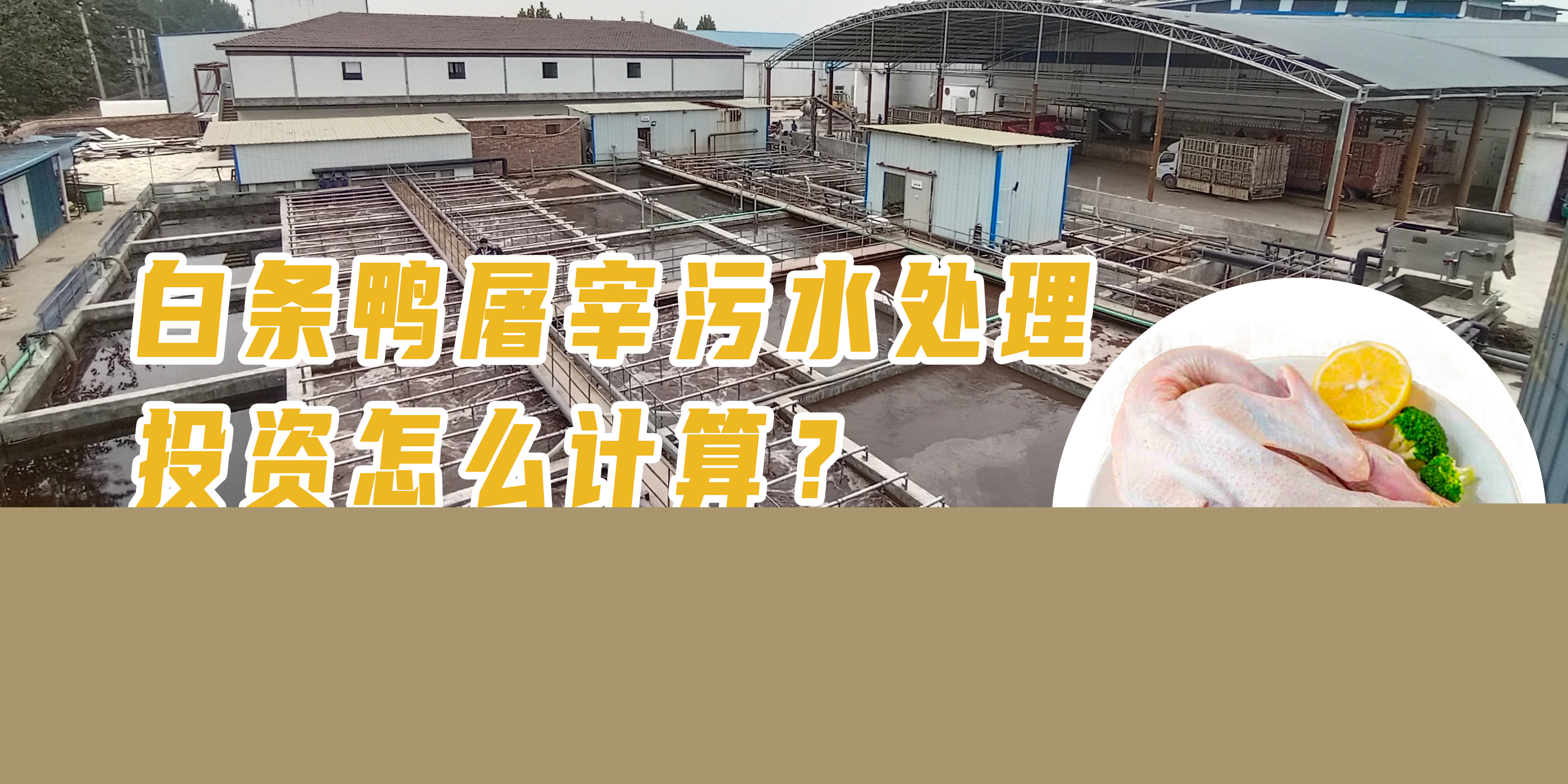 白條鴨屠宰污水處理投資怎么計算？