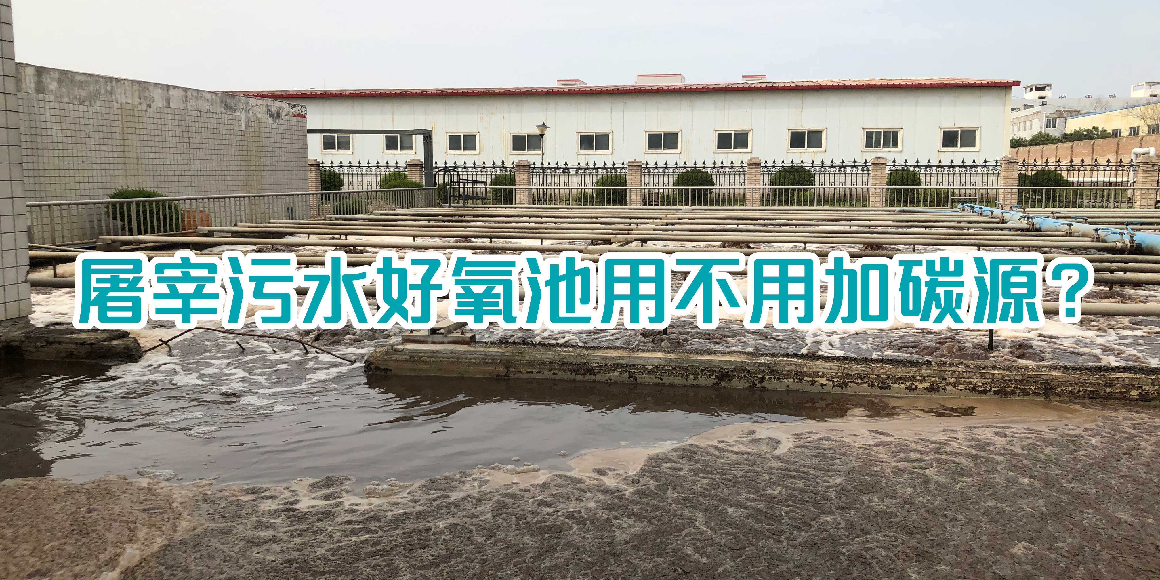 屠宰污水好氧池用不用加碳源？