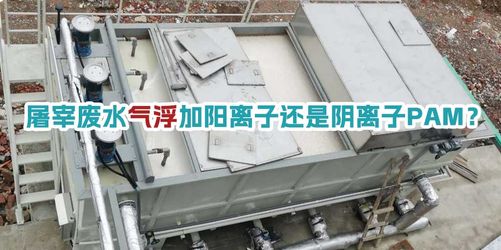 屠宰廢水氣浮加陽離子還是陰離子PAM？