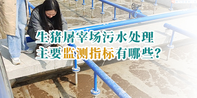 生豬屠宰場污水處理主要監(jiān)測指標(biāo)有哪些？
