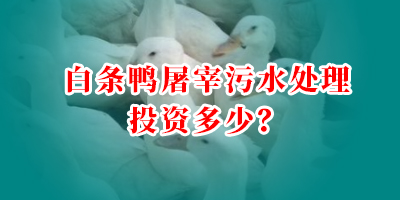 白條鴨屠宰污水處理投資多少？