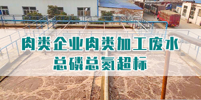 肉類企業(yè)肉類加工廢水總磷總氮超標(biāo)怎么處理？